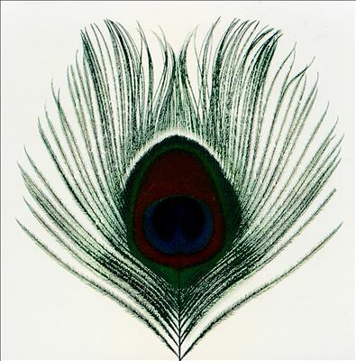 Xtc apple venus volume 1 - xtc,