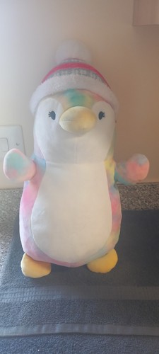 Squishmallow prescott penguine - squishmallow,