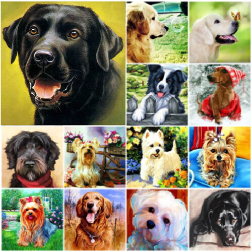 Dog animal diamond painting - dog,