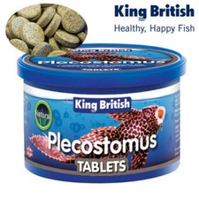 KING BRITISH PLECOSTOMUS