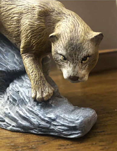 Cougar mountain lion - /,