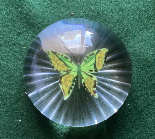 William manson butterfly - manson,