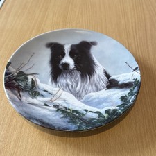 Danbury Mint The Border Collie