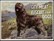 BRIARD DOG ART ADVERT PRINT