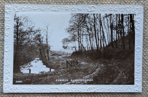 Chorley common bank - common,