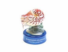 RARE Kaiyodo Japan Exclusive