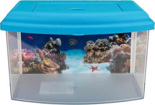 Aimé litre plastic fish - plastic,