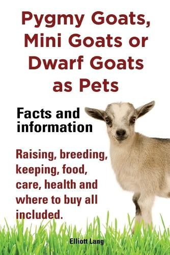 Pygmy goats mini - pygmy,