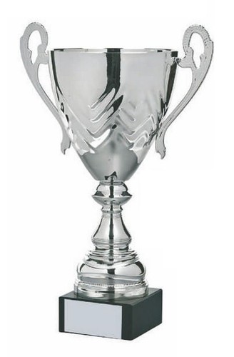 Personalised cup trophy - personalised,