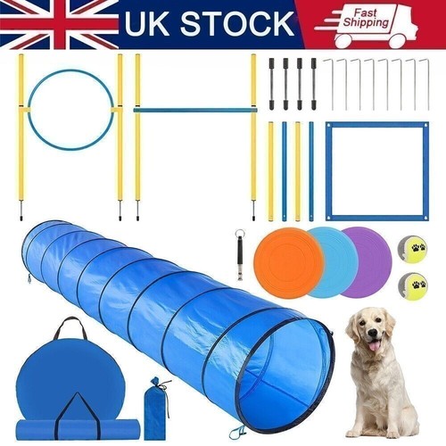 300cm dog agility - dog,