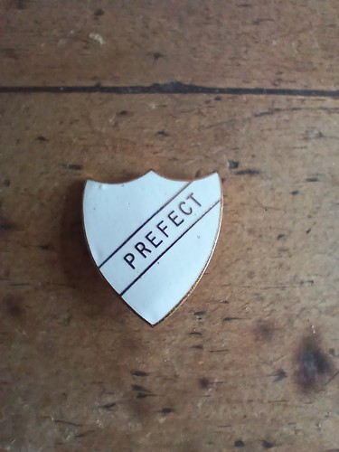 White shield prefect badge - shield,