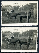 LOT 2x,  elegant couple on