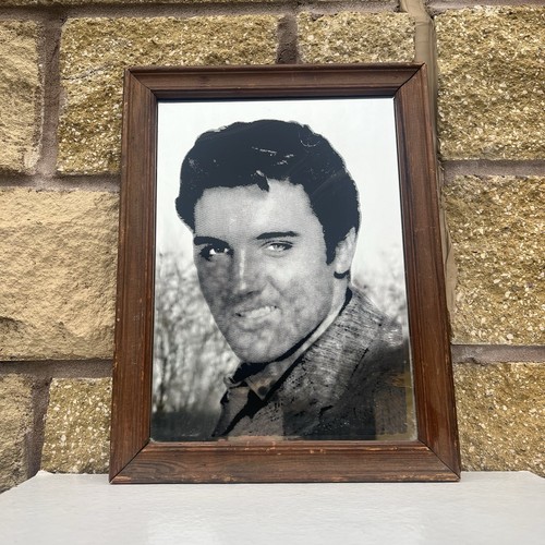 Elvis presley the king art - elvis,