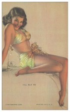 XX1742/ PIN UP Erotic