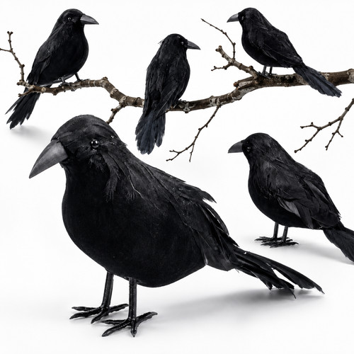 Realistic black crow halloween - black,