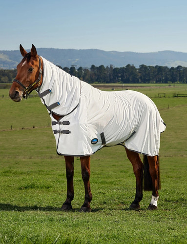 Weatherbeeta comfitec tyro fly - weatherbeeta,