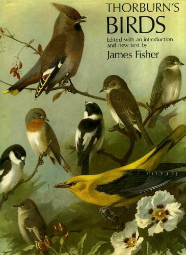 Thorburn birds james - birds, by
