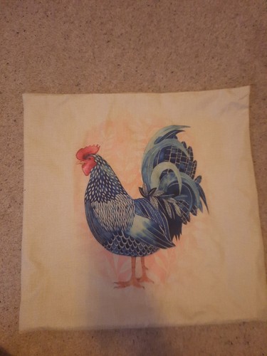 Farmyard chicken cockerell - farmyard,