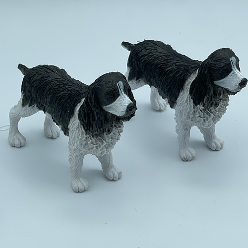 English springer spaniel dog - english,