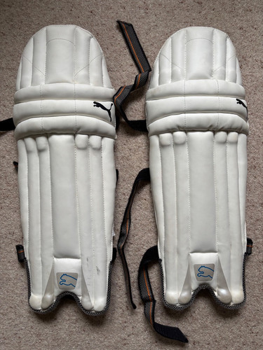 Cricket batting pads youth
