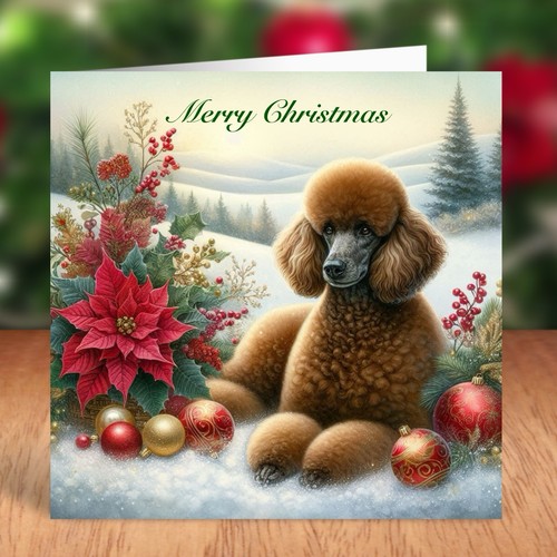 Standard poodle dog christmas - standard,