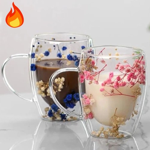 Double walled glass cup dried - walled,