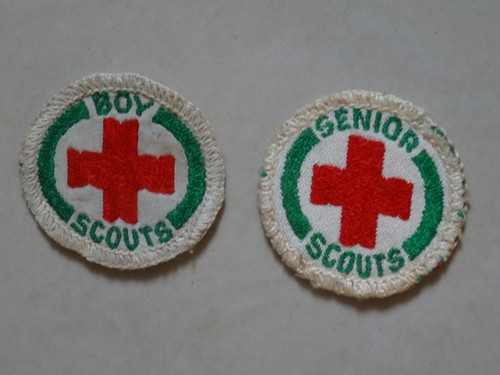 Boy scouts senior - boy,