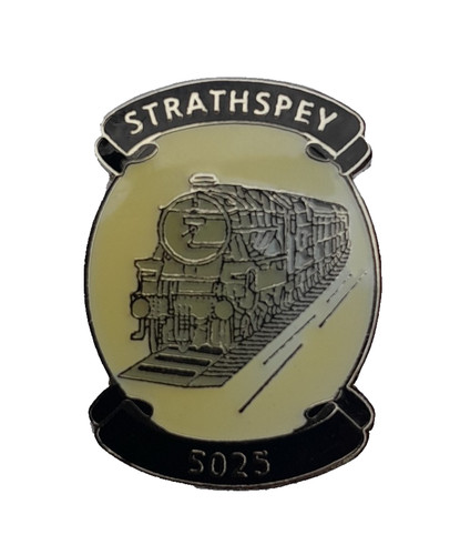 Aslef railway badge - /,
