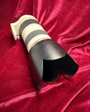Canon EF 70-200mm f/2.8 lens