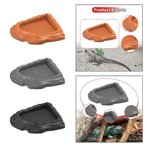 Reptile water dish - dish, corner