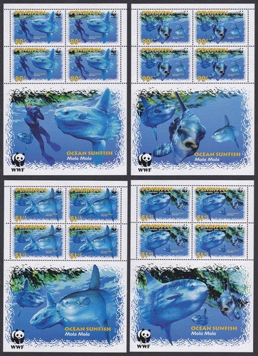 Ocean sunfish sheetlets of - sheetlets,