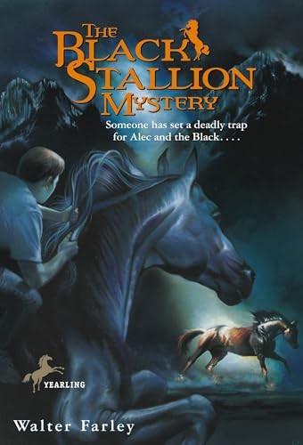 The black stallion - stallion, mystery
