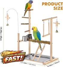 Natural wood parrot - parrot, play