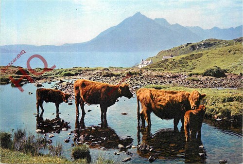 Picture postcard isle - postcard__isle, of