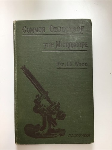 Common objects the - common,