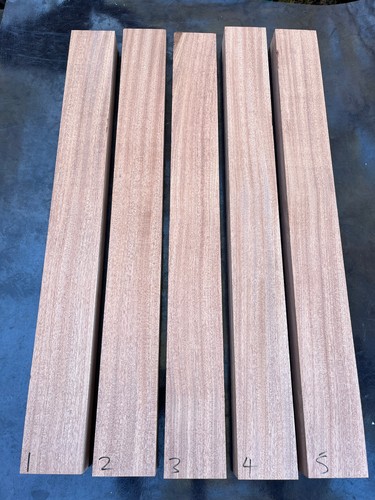 Sipo mahogany bass - sipo, guitar