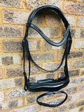 PATENT ANATOMICAL BRIDLE