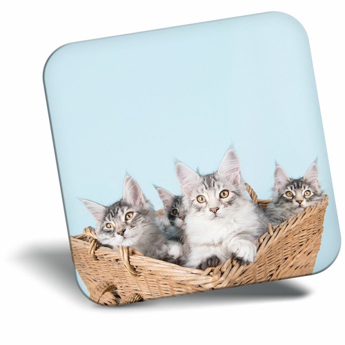 Awesome fridge magnet cute - awesome,