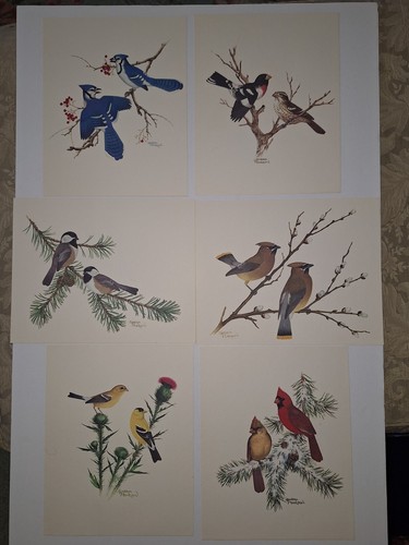 Collector portfolio set 6 - set, of