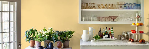 Butter yellow plain - yellow, kitchen