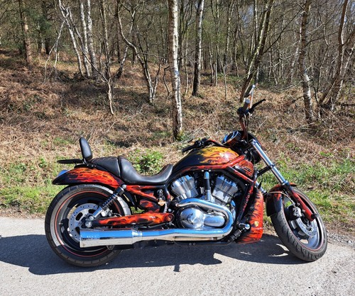 One off custom harley - custom, davidson