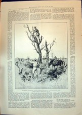 Old Print 1896 Matabili Scouts