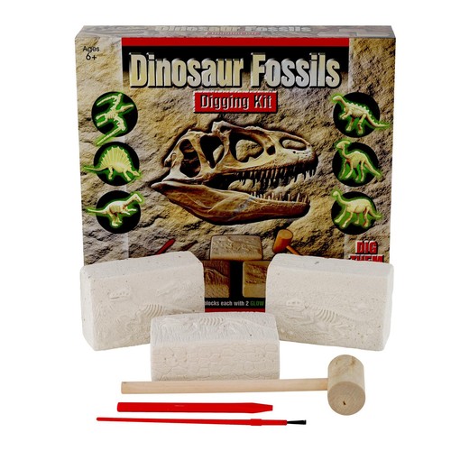 Fossils digging excavation kit - excavation,