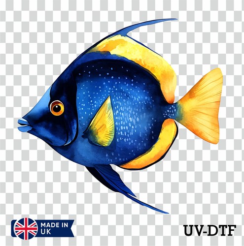 Blue tang fish - , sticker