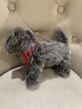 Canterbury Bears Special