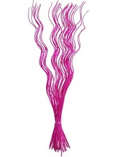 Spiral Corkscrew Curly Willow Twigs Bunch Bright Hot Pink Cerise Tall Ting 120cm