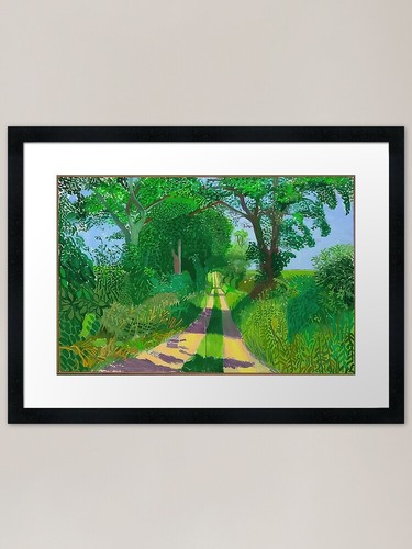 David hockney framed art - art, print