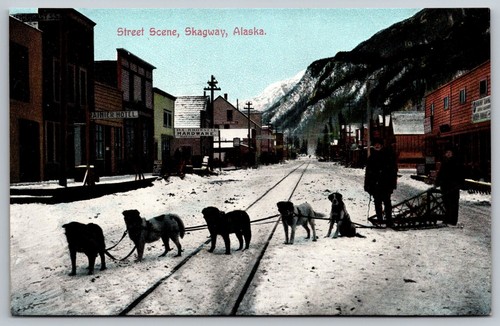 Postcard street scene with dog - postcard,