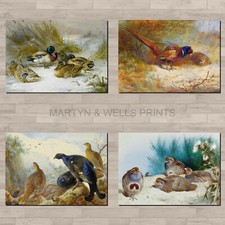 Archibald Thorburn prints: A4