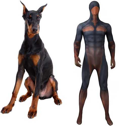 Doberman pinscher jumpsuit - doberman,